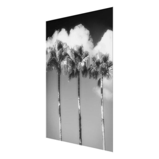 Tavlor svart och vitt Palm Trees Against The Sky Black And White