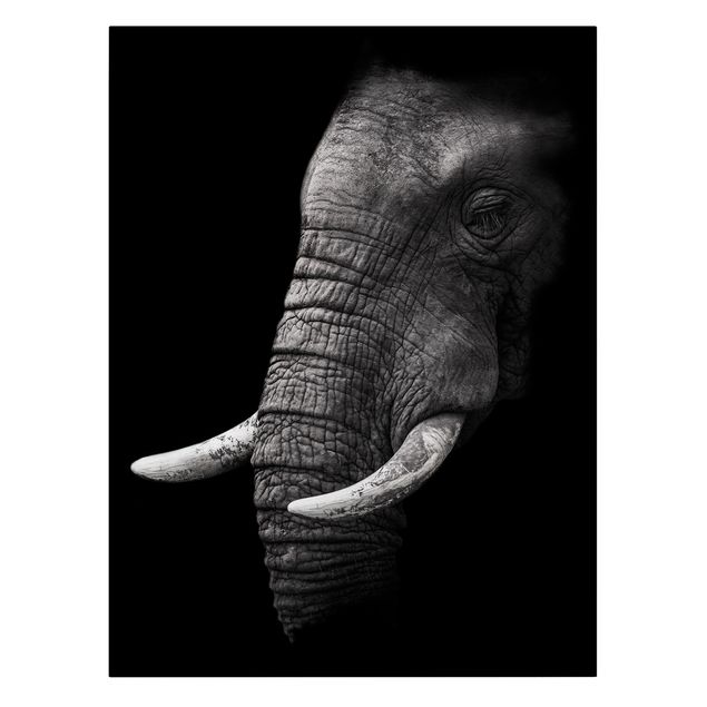 Canvastavlor svart och vitt Dark Elephant Portrait
