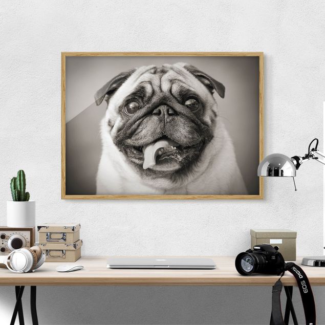 Kök dekoration Funny Pug
