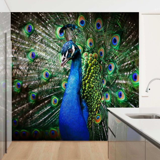 Tapeter modernt Noble Peacock