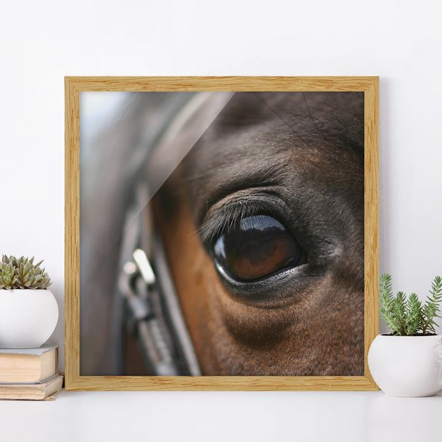 Kök dekoration Horse Eye No.3