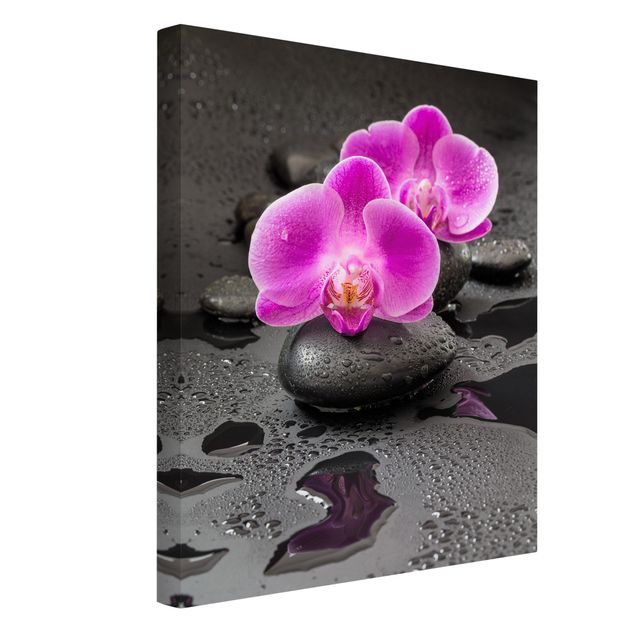 Canvastavlor sten utseende Pink Orchid Flower On Stones With Drops
