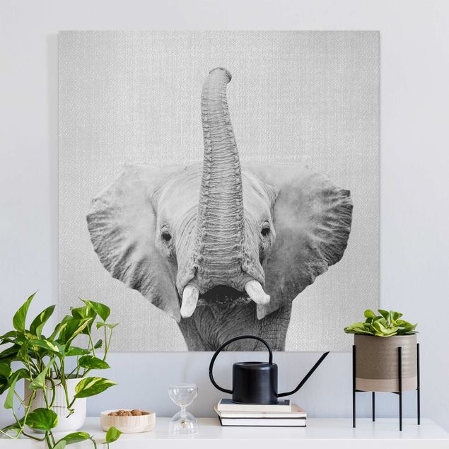 Canvastavlor elefanter Elephant Ewald Black And White
