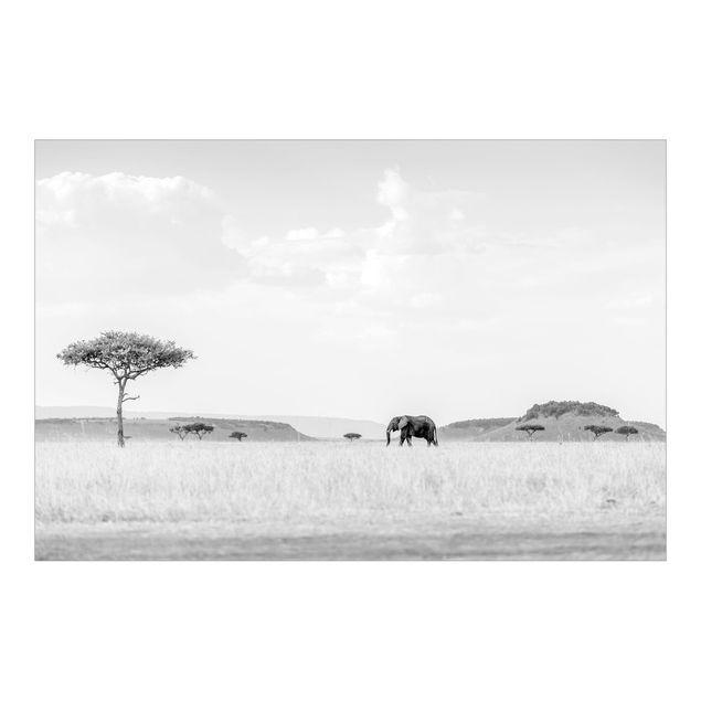 Fototapeter landskap Elephant In Vast Savannah Black And White