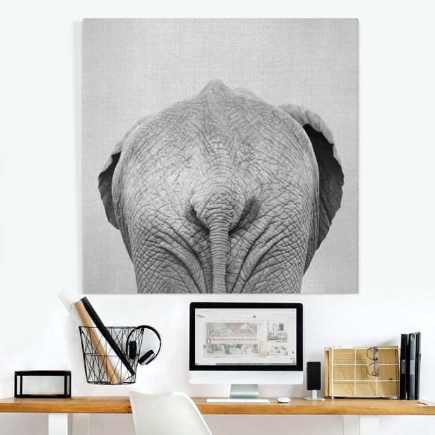Canvastavlor elefanter Elephant From Behind Black And White