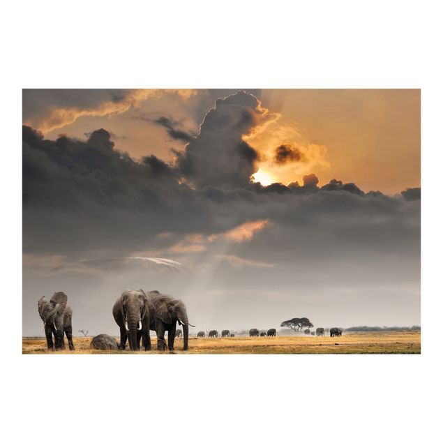 Fototapeter landskap Elephants in the Savannah