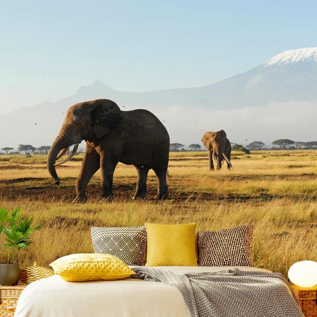 Fototapeter Afrika Elephants In Front Of The Kilimanjaro In Kenya