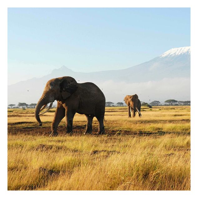 Tapeter modernt Elephants In Front Of The Kilimanjaro In Kenya