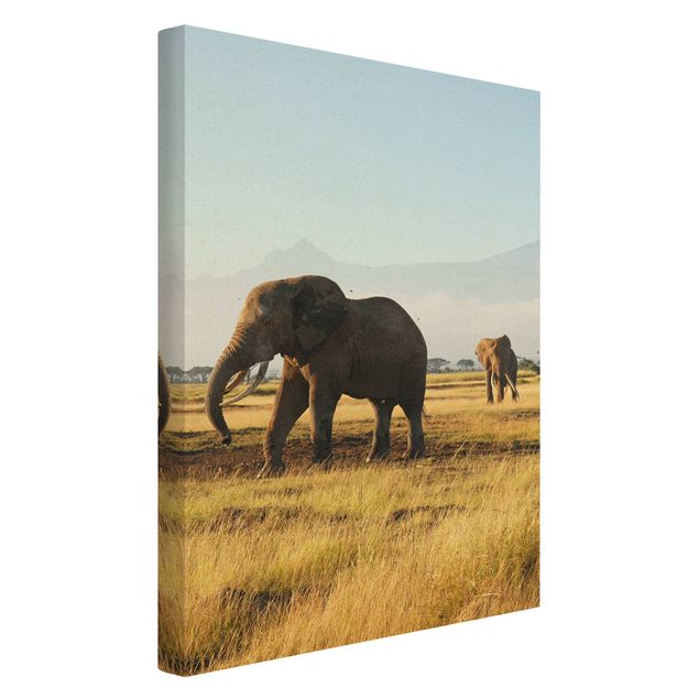 Tavlor bergen Elephants In Front Of Kilimanjaro In Kenya