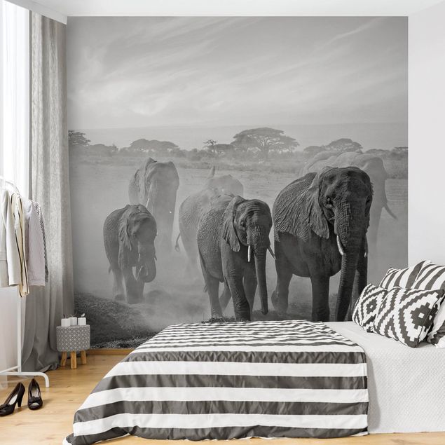 Kök dekoration Herd Of Elephants