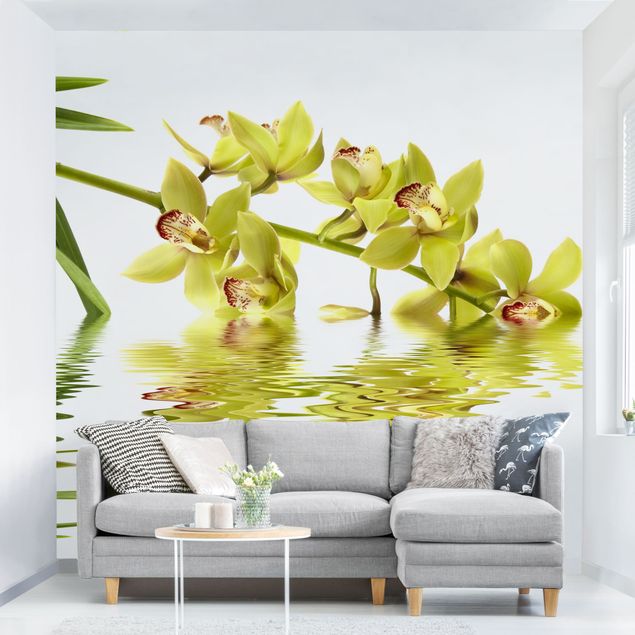 Fototapeter orkidéer Elegant Orchid Waters