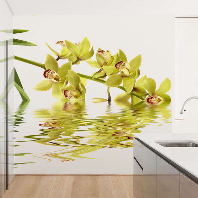 Fototapeter blommor  Elegant Orchid Waters