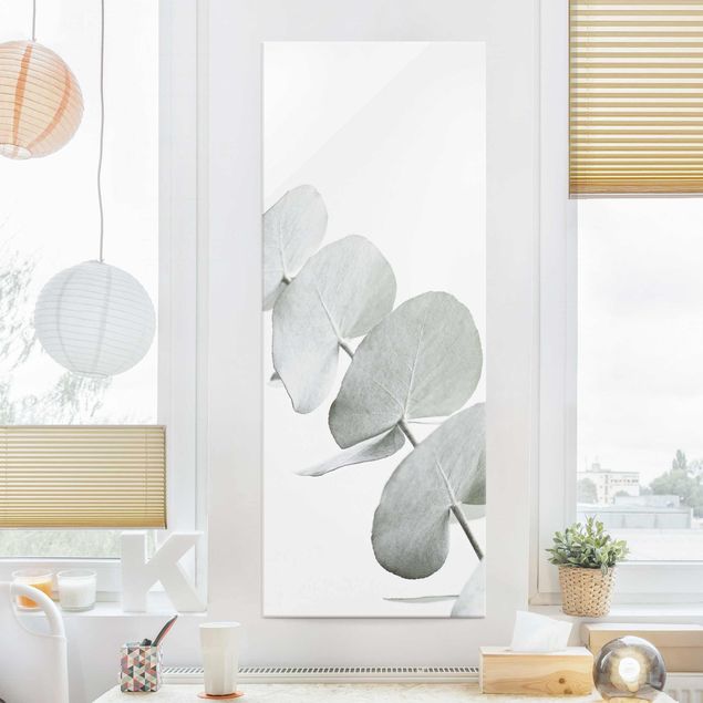 Kök dekoration Eucalyptus Branch In White Light