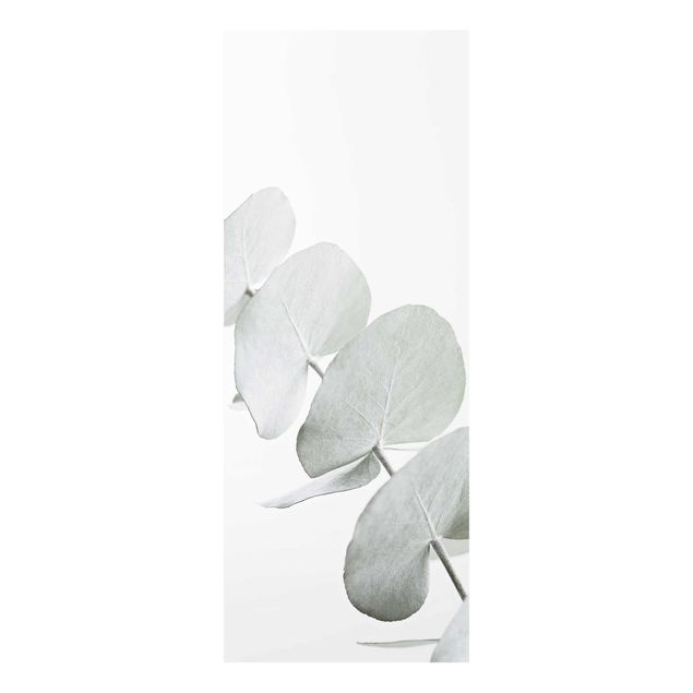 Tavlor Monika Strigel Eucalyptus Branch In White Light