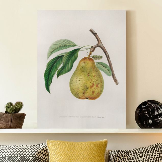 Kök dekoration Botany Vintage Illustration Yellow Pear