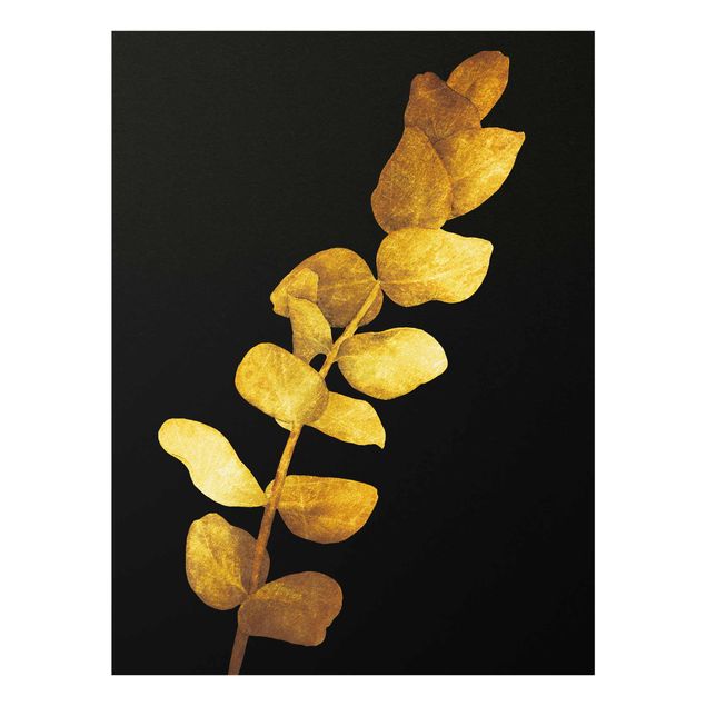 Tavlor blommor  Gold - Eucalyptus On Black