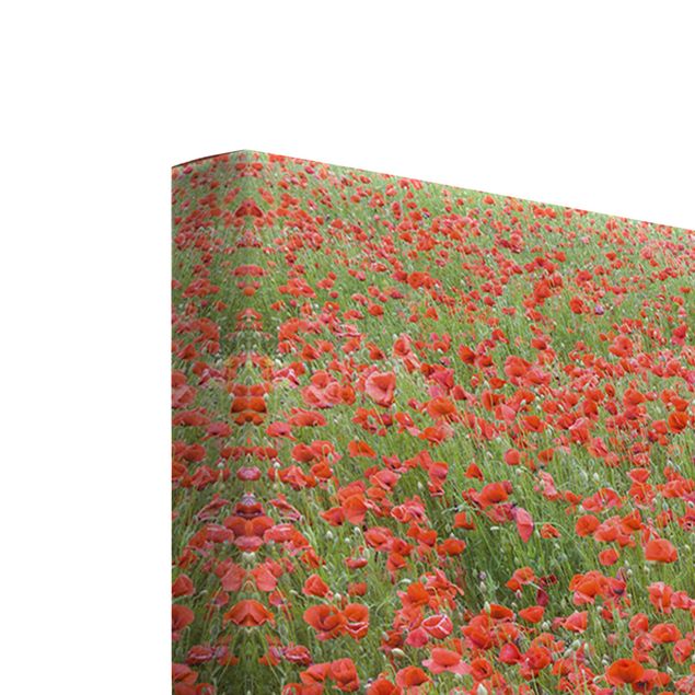 Tavlor röd Poppy Field