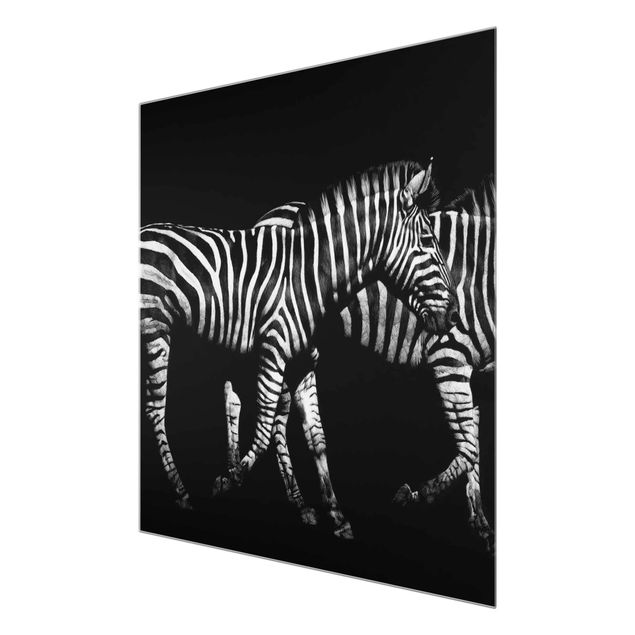 Tavlor svart och vitt Zebra In The Dark