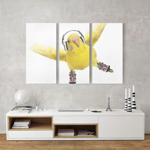 Canvastavlor djur Skate Parakeet