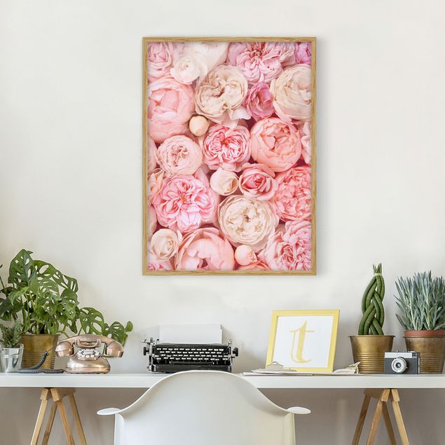 Tavlor med ram blommor  Roses Rosé Coral Shabby