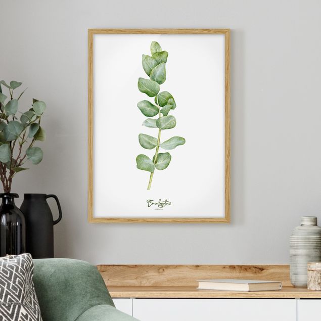 Tavlor med ram blommor  Watercolour Botany Eucalyptus
