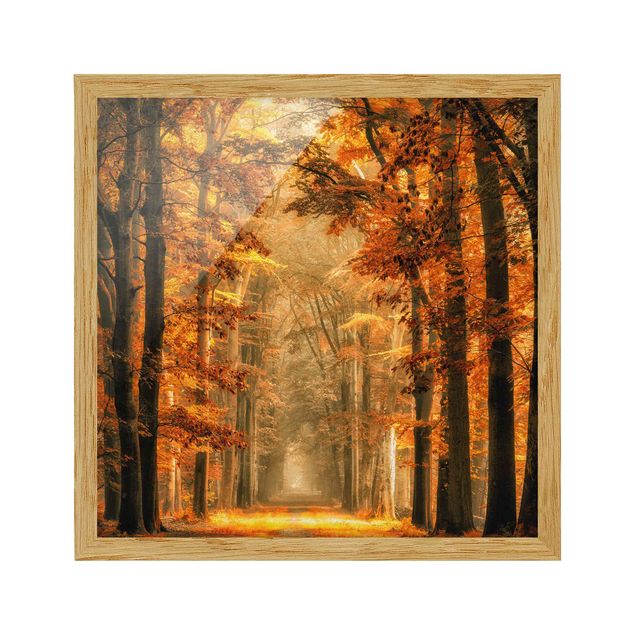 Tavlor med ram landskap Enchanted Forest In Autumn