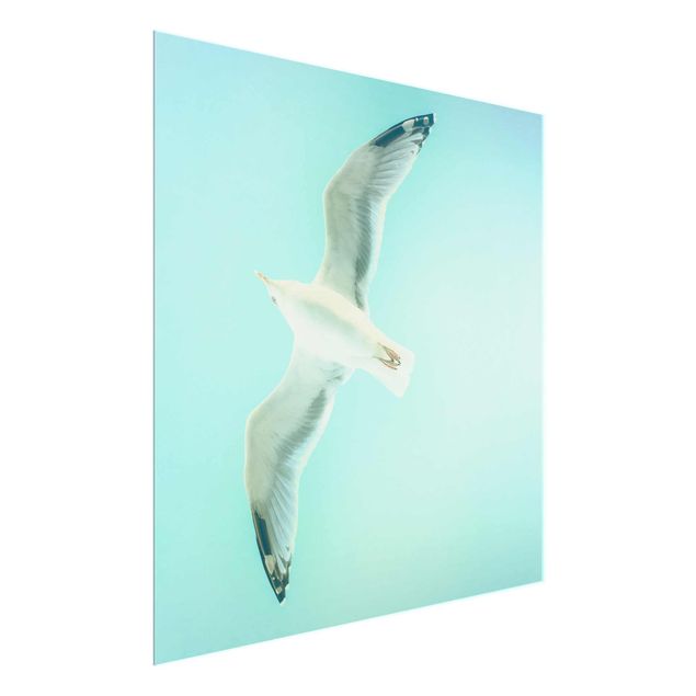 Tavlor modernt Blue Sky With Seagull