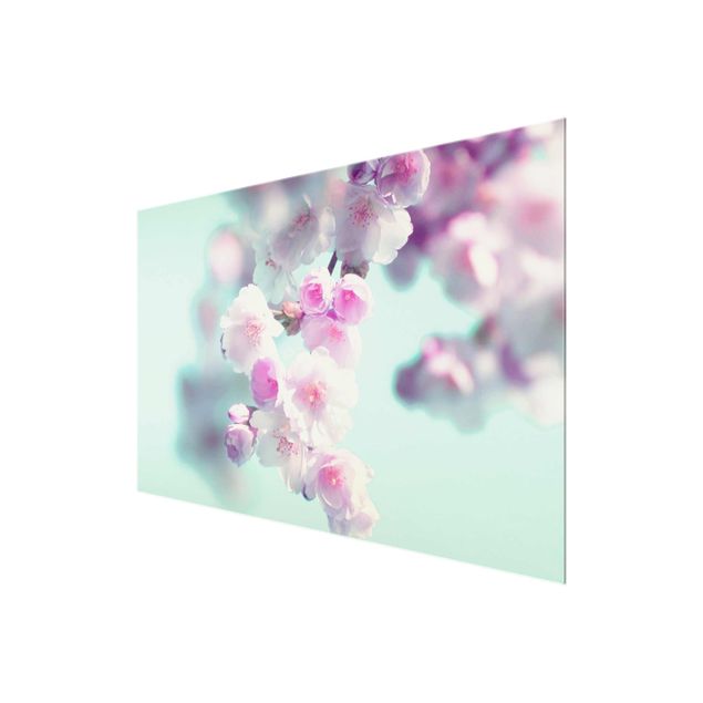 Tavlor Monika Strigel Colourful Cherry Blossoms