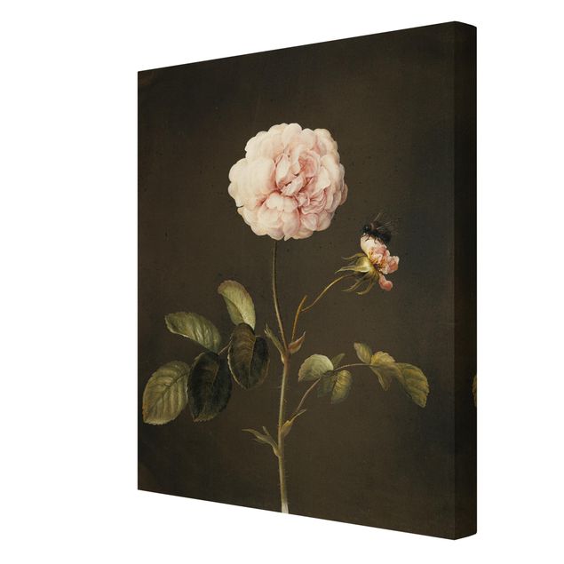 Tavlor blommor Barbara Regina Dietzsch - French Rose With Bumblbee