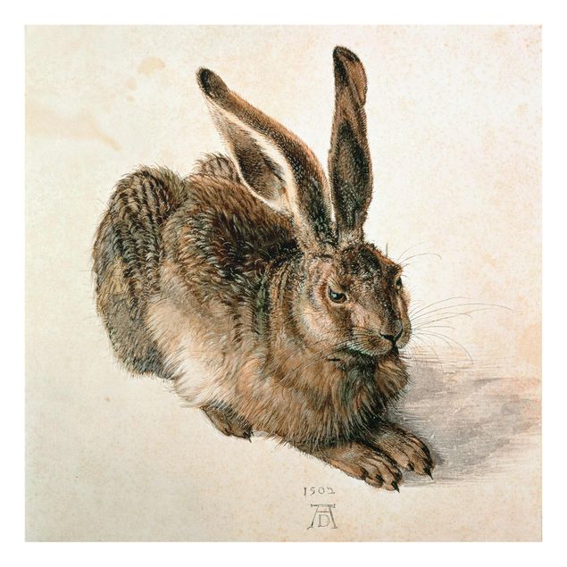 Glastavlor djur Albrecht Dürer - Young Hare