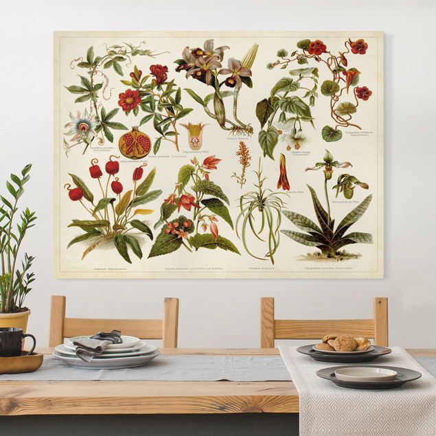 Kök dekoration Vintage Board Tropical Botany II
