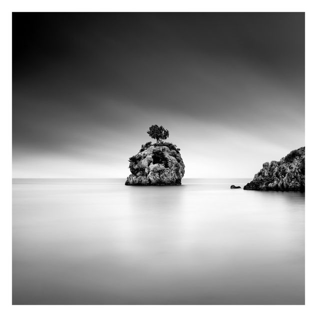 Tapeter Rocky Island In The Sea Black And White