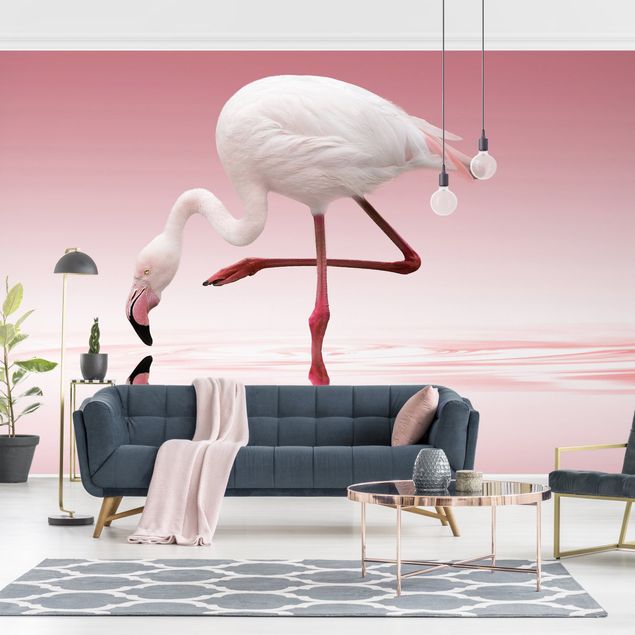 Fototapeter flamingo Flamingo Dance
