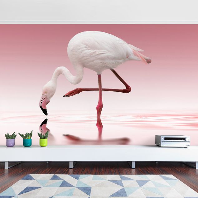 Fototapeter fåglar Flamingo Dance