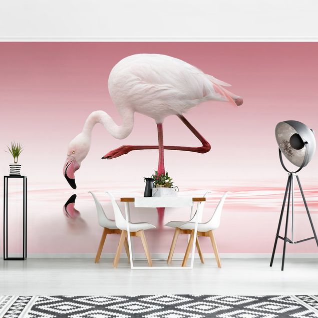 Tapeter modernt Flamingo Dance