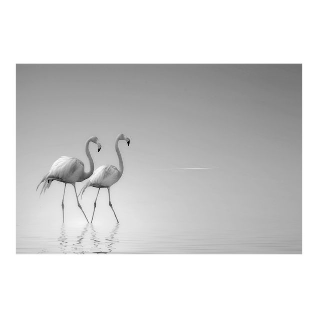 Fototapeter djur Flamingo Love Black And White