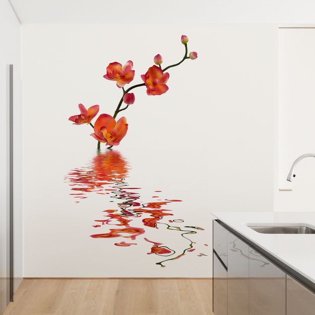 Kök dekoration Flamy Orchid Waters