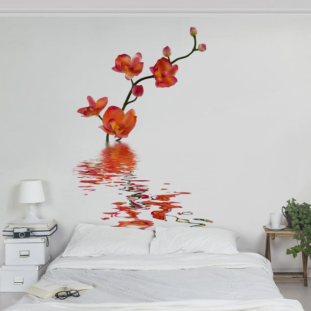 Fototapeter blommor  Flamy Orchid Waters