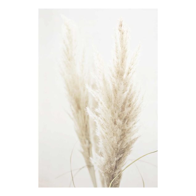 Tavlor Monika Strigel Soft Pampas Grass