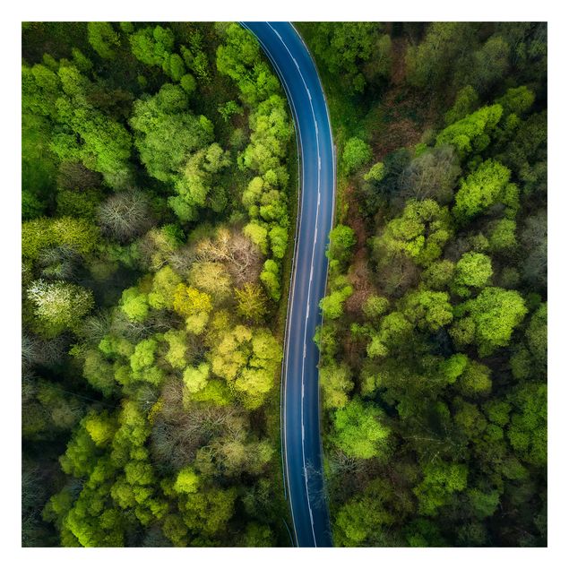 Tapeter Aerial View - Asphalt Road In The Forest