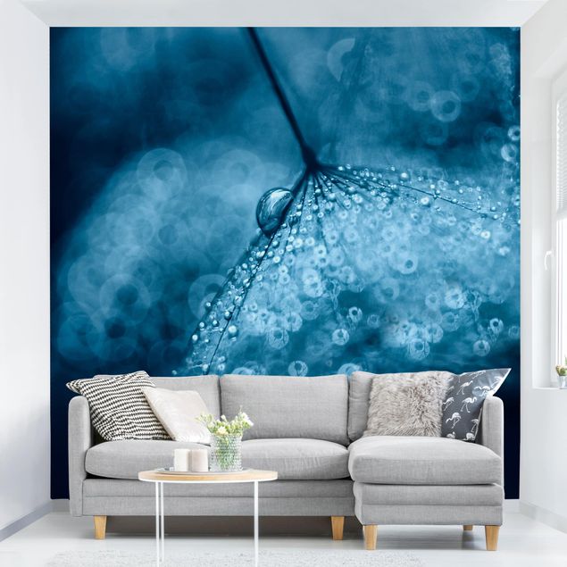 Kök dekoration Blue Dandelion In The Rain