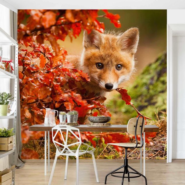 Kök dekoration Fox In Autumn