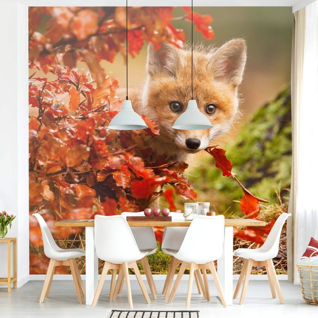 Tapeter modernt Fox In Autumn