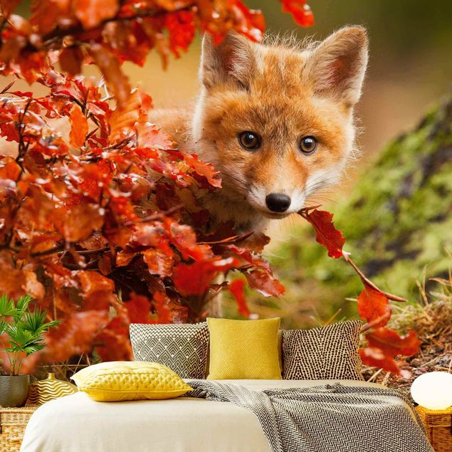 Fototapeter landskap Fox In Autumn