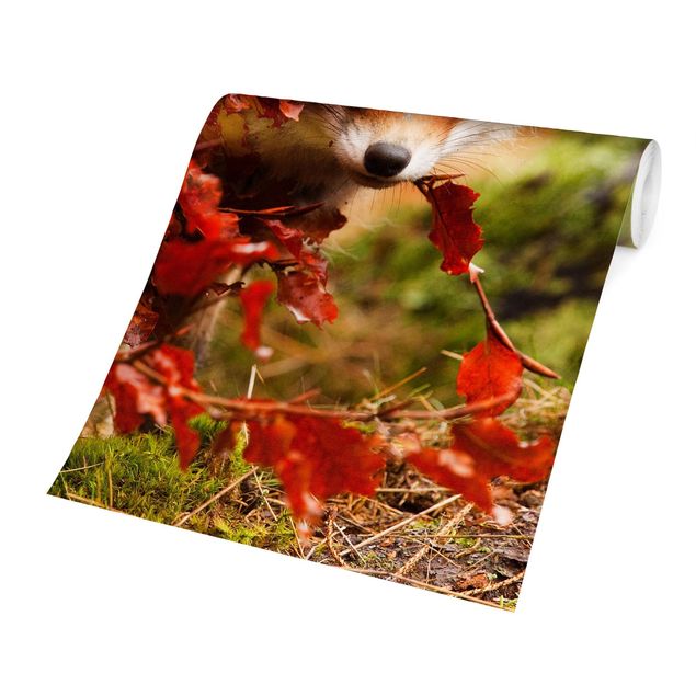 Fototapeter orange Fox In Autumn