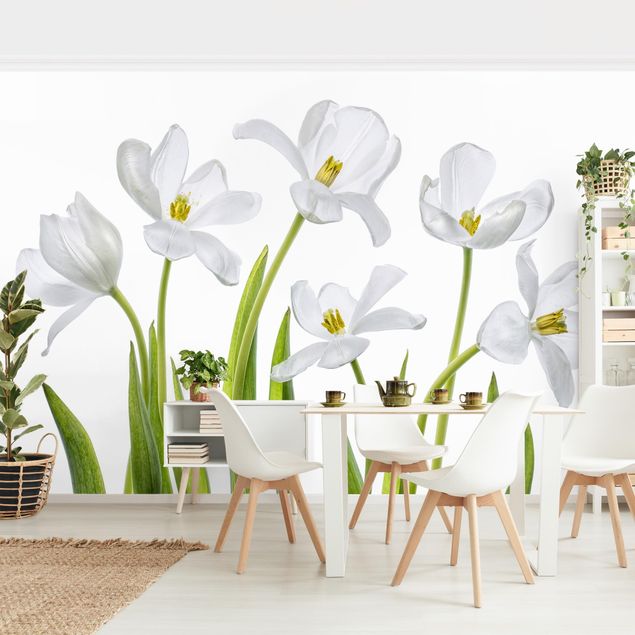 Fototapeter blommor  Five White Tulips