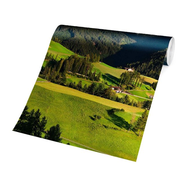 Fototapeter skogar Odle In South Tyrol