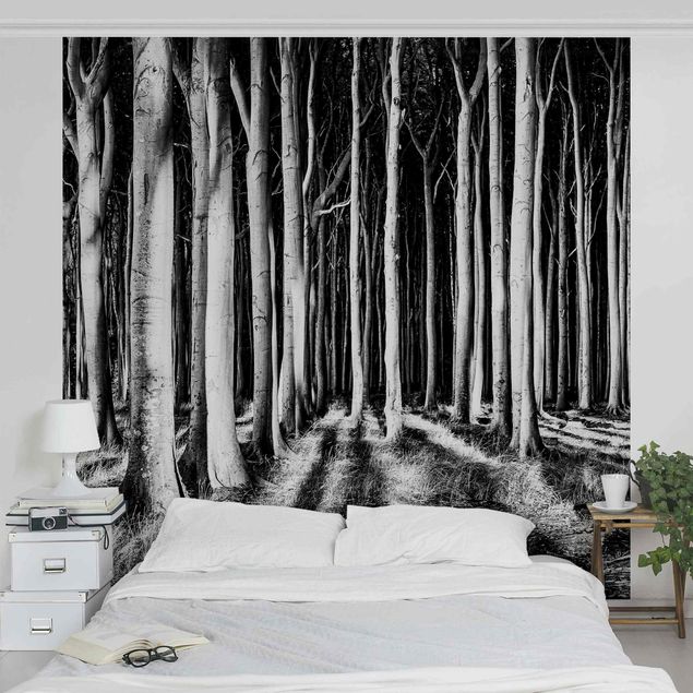 Fototapeter svart och vitt Spooky Forest