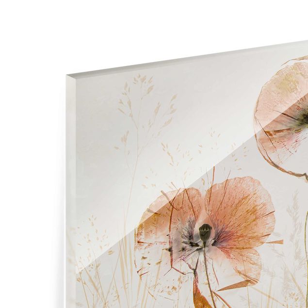 Tavlor Dried Poppy Flowers With Delicate Grasses