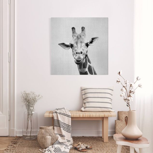 Canvastavlor giraffer Giraffe Gundel Black And White